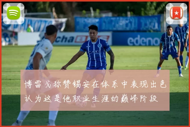 博雷戈称赞锡安在体系中表现出色认为这是他职业生涯的巅峰阶段