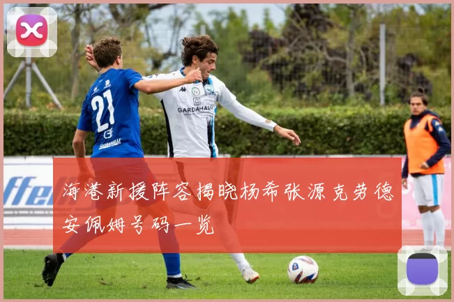 海港新援阵容揭晓杨希张源克劳德安佩姆号码一览